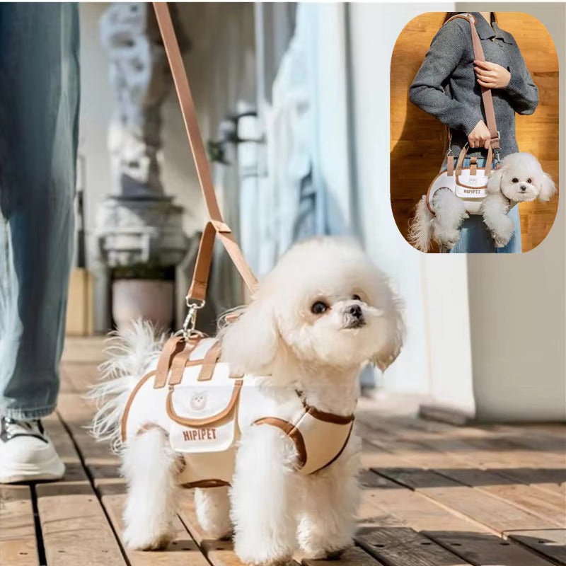 Small Dog Whole Body Lift Harness Pet Backpack 2