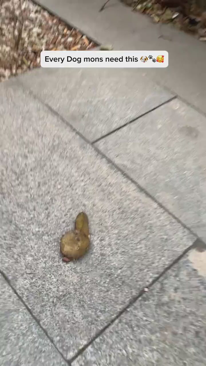 Portable Dog Poop Scooper product video